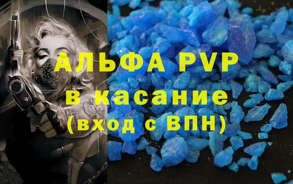 винт Дмитриев