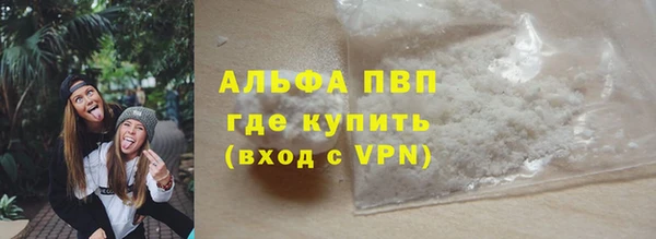 крисы Гусев
