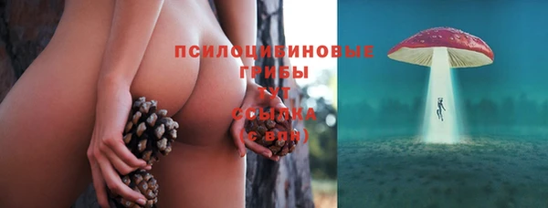 крисы Гусев